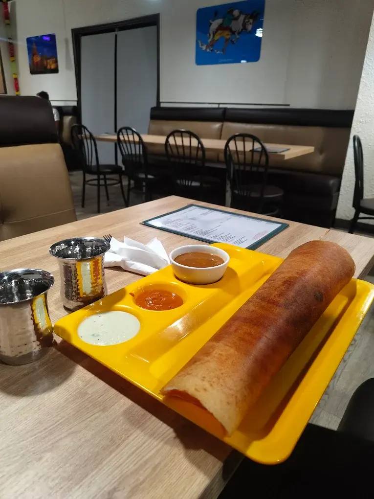 Krishna's Dosa Grill Regina - Authentic South Indian dishes